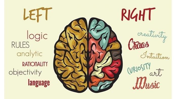 dominan otak kiri atau otak kanan